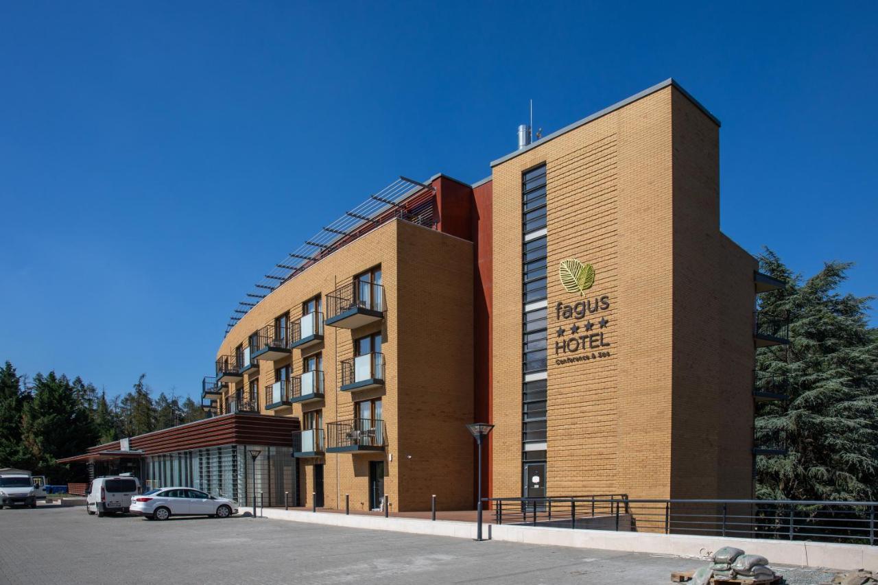 Fagus Conference & Sopron