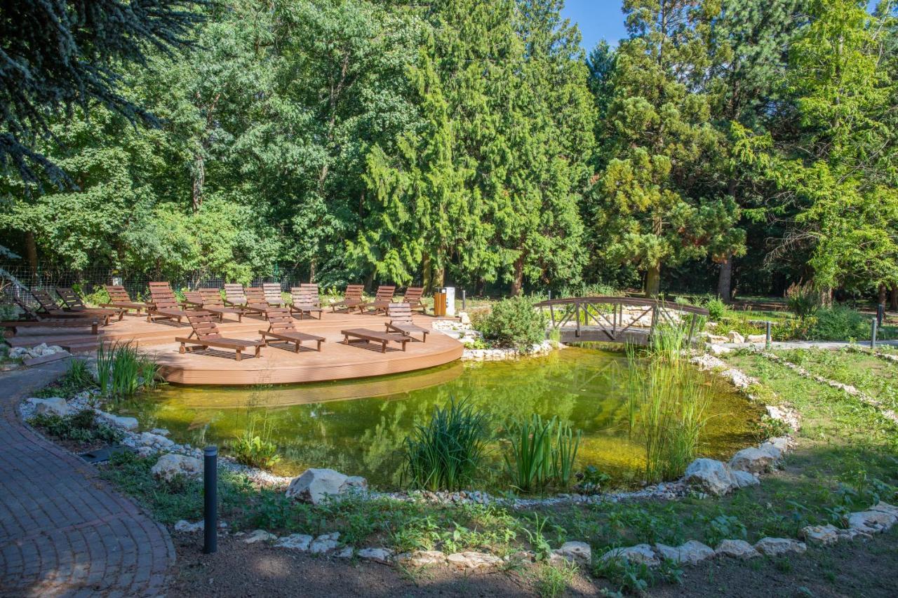 Fagus Conference & Sopron