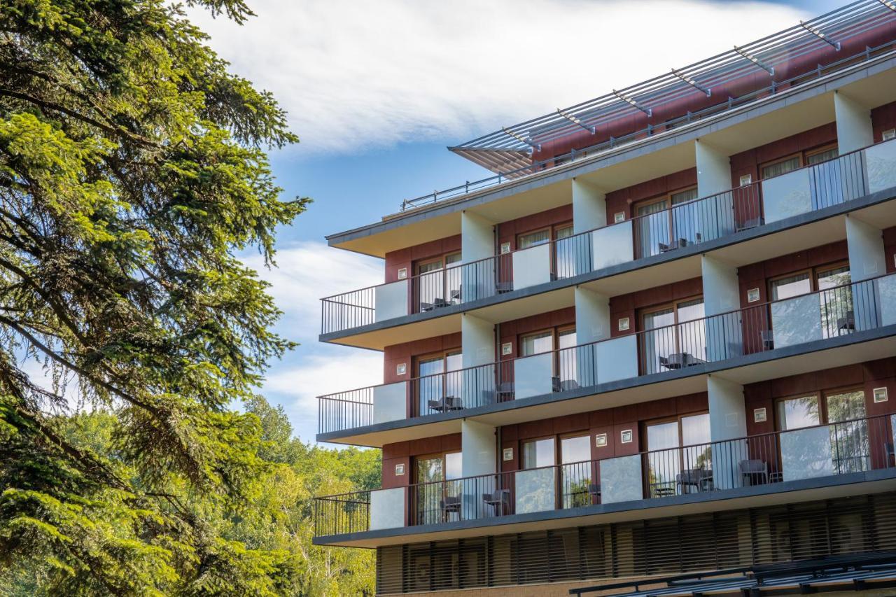 Fagus Conference & 4*
