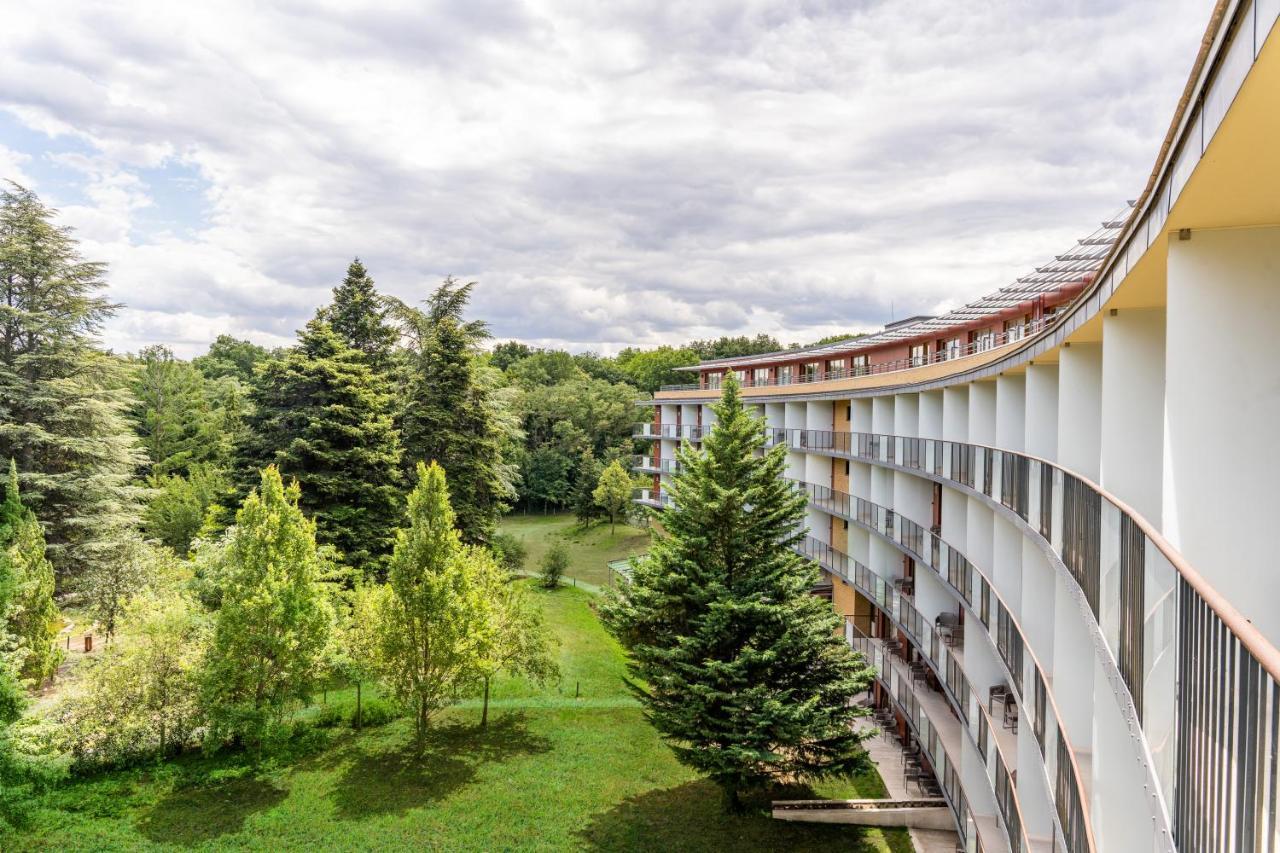 Fagus Conference & 4*