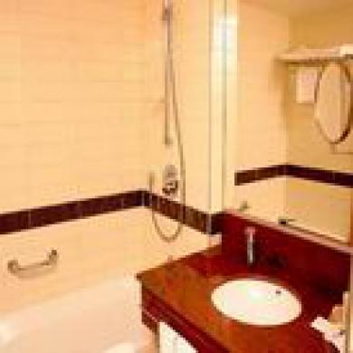 Hotel Fagus Conference & 4*