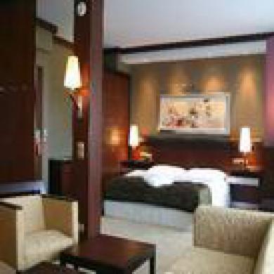 Hotel Fagus Conference & Sopron